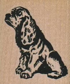 Cocker Spaniel Looking Up 1 3/4 X 2
