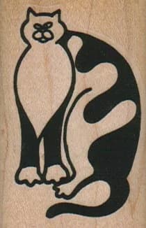 Black & White Cat 1 1/2 X 2 1/4