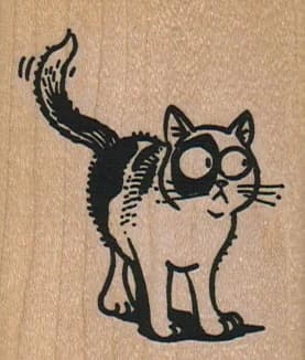 Cat Looking Askance 2 X 2 1/4