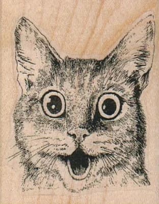 Surprised Kitty Cat 2 1/4 X 2 3/4