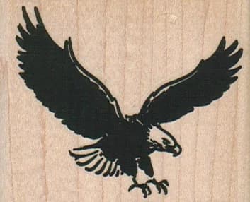 Eagle Landing 2 1/2 X 2