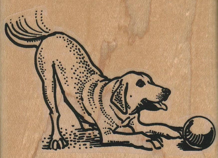 Dog Playing With Ball 3 X 2 1/4