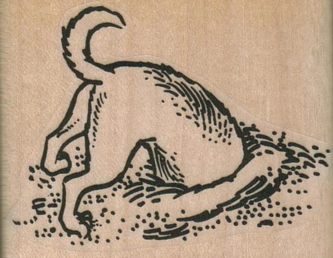Dog Digging Hole 2 1/4 X 1 3/4