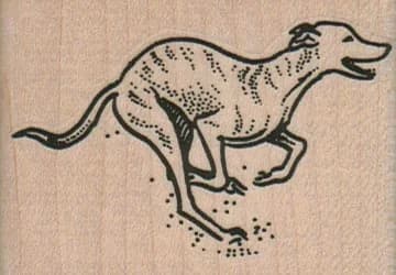 Greyhound Running 2 1/2 X 1 3/4