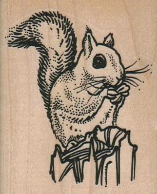 Squirrel Eating A Nut 2 1/4 X 2 3/4