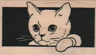 Sad Cat Looking Out Window 1 1/2 X 2 1/4