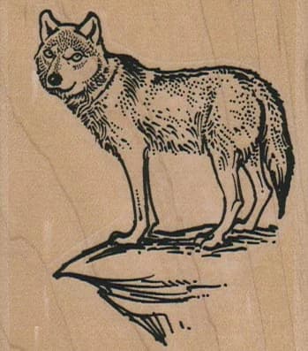 Coyote/wolf On Cliff 2 1/2 X 2 3/4