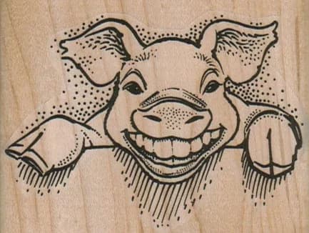Pig Smiling/teeth 3 X 2 1/4