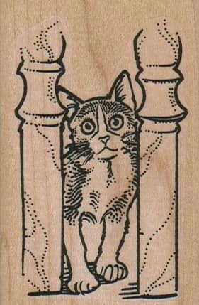 Kitty Between Posts 2 X 3