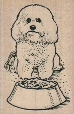 Bichon With Bowl 1 3/4 X 2 1/2