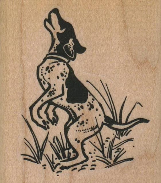 Terrier Dog Jumping For Joy 2 X 2 1/4