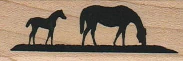 Mare & Colt Silhouette 1 X 2 1/2