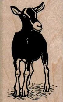 Black & White Goat 1 1/2 X 2 1/4