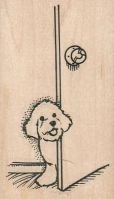 Bichon Looking In Room 2 1/4 X 3 3/4
