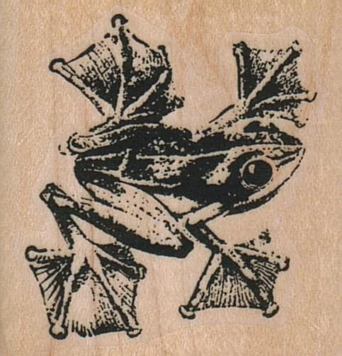 Tree Frog 1 3/4 X 1 3/4