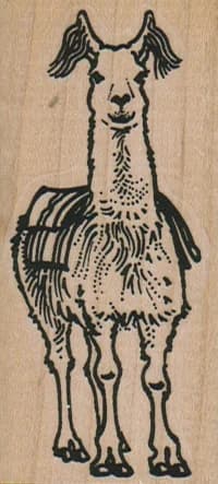 Llama With Blanket 1 1/2 X 3