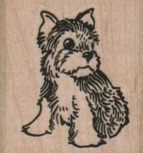 Cute Puppy 1 1/2 X 1 1/2