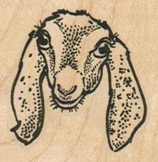 Goat Face 1 3/4 X 1 3/4