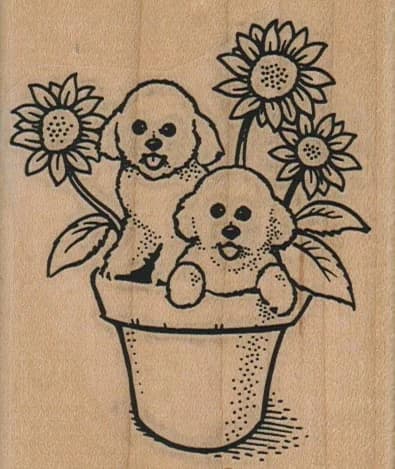 Bichons & Sunflowers 2 3/4 X 3 1/4