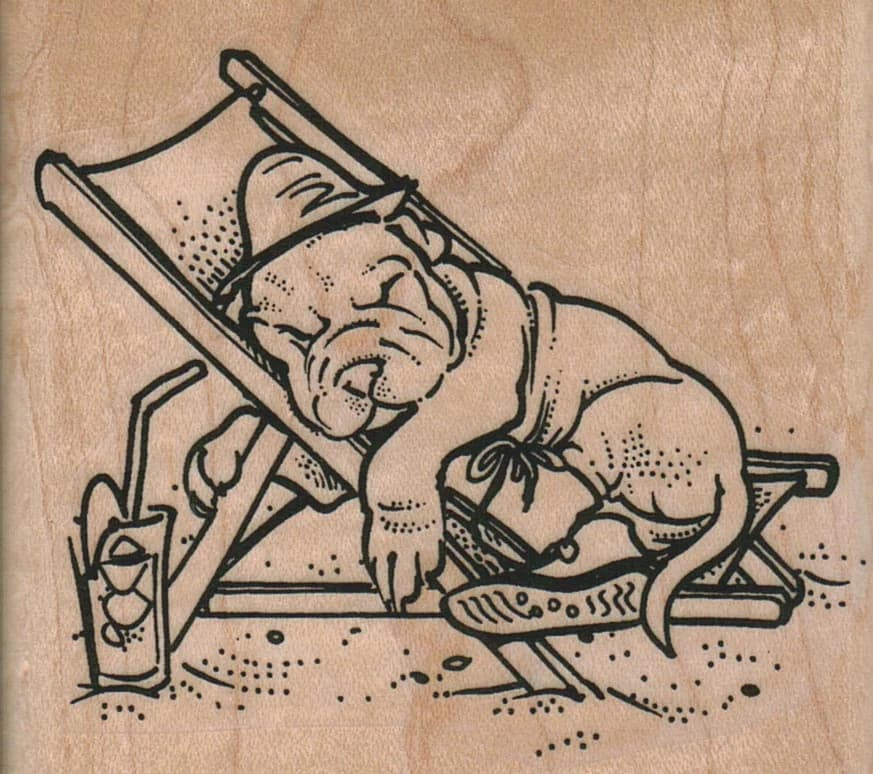 Sharpei Relaxing At The Beach 3 X 2 3/4