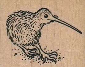 Kiwi Bird 2 X 1 1/2