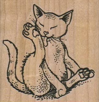 Cat Licking Foot 2 1/4 X 2 1/4