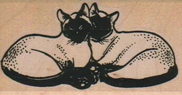 Siamese Twins 1 1/2 X 2 1/2