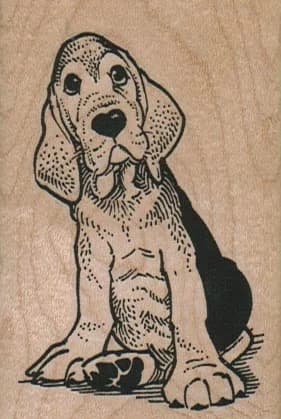 Sad Dog 2 X 3