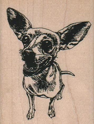 Chihuahua Dog 2 1/2 X 3 1/4