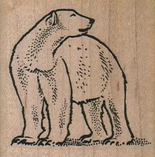 Polar Bear Looking Back 2 1/4 X 2 1/4