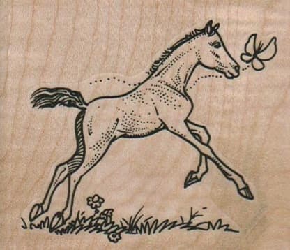 Colt Chasing Butterfly 3 X 2 1/2