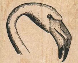 Flamingo Head 2 X 1 1/2