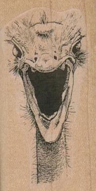 Screaming Ostrich/small 1 1/2 X 2 3/4