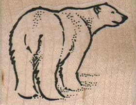 Bear Back 2 X 1 1/2