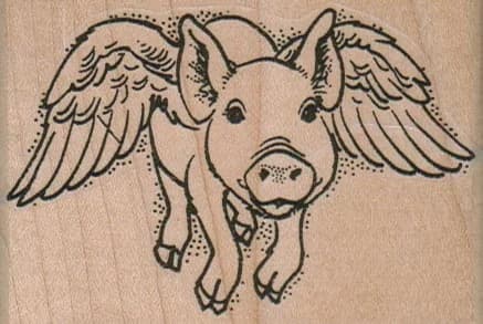 Flying Pig Face 3 X 2