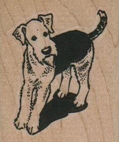 Airedale Terrier 1 3/4 X 2