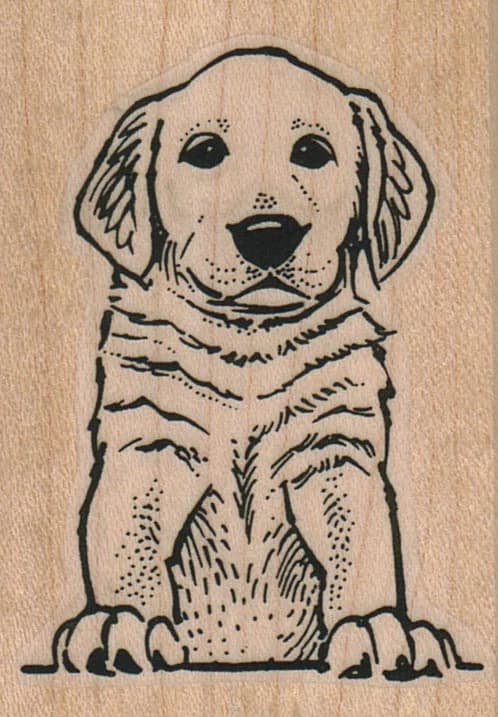 Dog Sitting 1 3/4 X 2 1/2