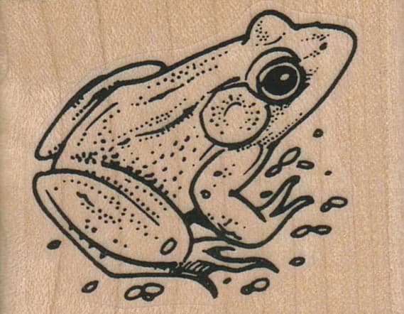 Sitting Frog Back 2 X 1 1/2