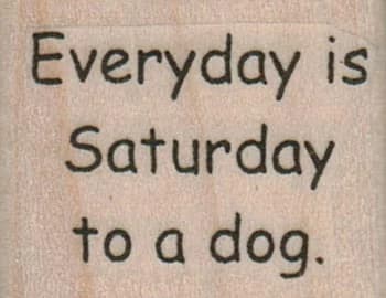 Everyday Is Saturday To A Dog 1 1/4 X 1