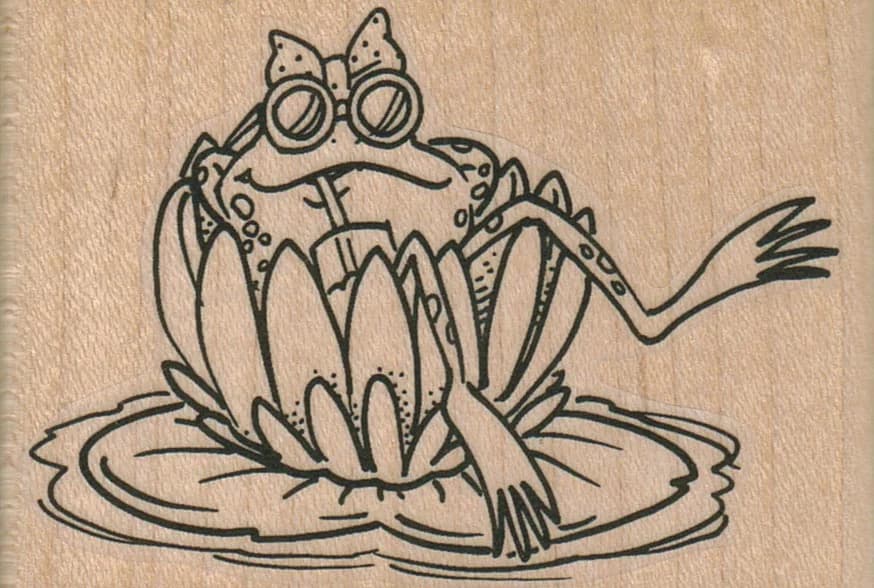 Frog Drinking In Lily Pad Flower 3 X 2
