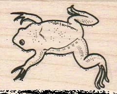 Frog Back 1 1/2 X 1 3/4