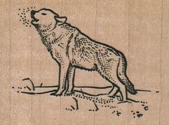 Wolf Baying 2 1/2 X 1 3/4