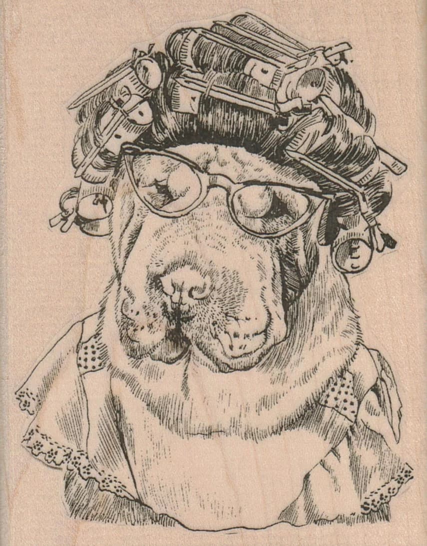 Sharpei Dog In Curlers 3 X 3 3/4