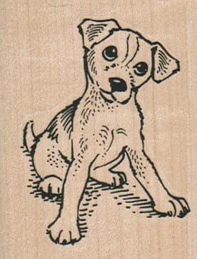 Jack Russell Dog Cocking Head 2 X 2 1/2