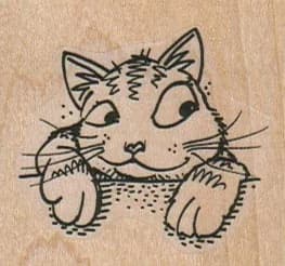 Cat Looking To Side 2 X 1 3/4