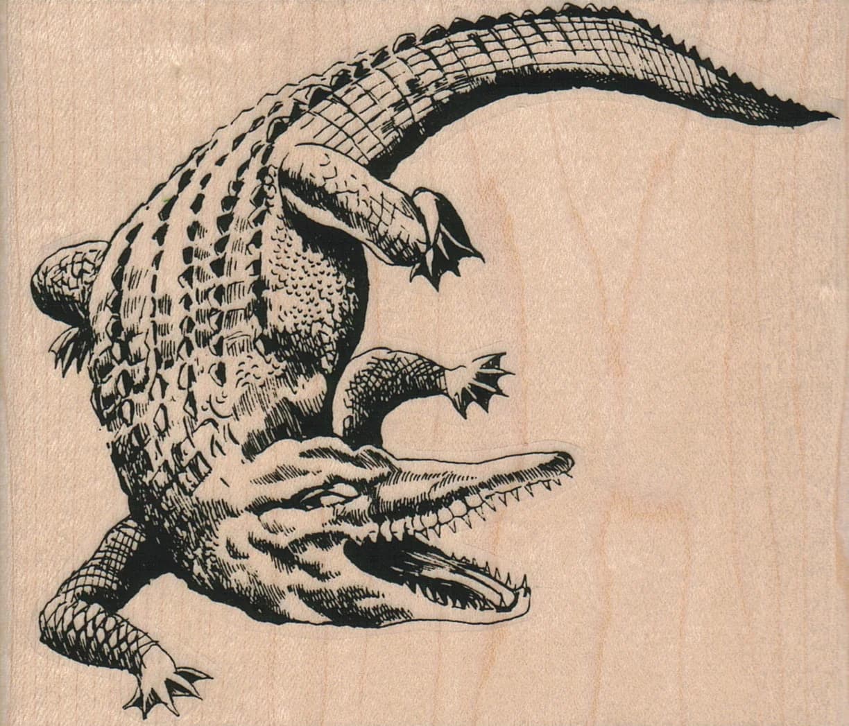 Alligator 4 1/4 X 3 1/2