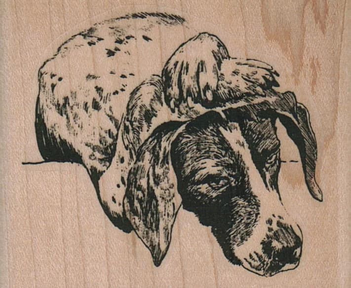 Pointer Dog Holding Head 2 1/2 X 2