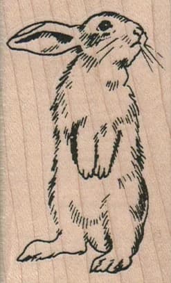 Bunny Looking Right/medium 1 3/4 X 2 3/4