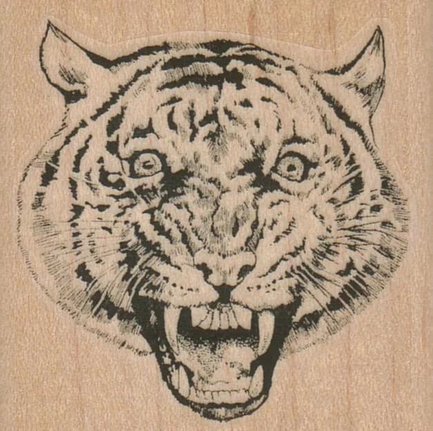 Tiger Face 2 1/4 X 2 1/4