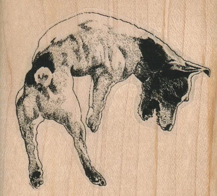 Leaping Jack Russell Terrier 2 1/2 X 2 1/4